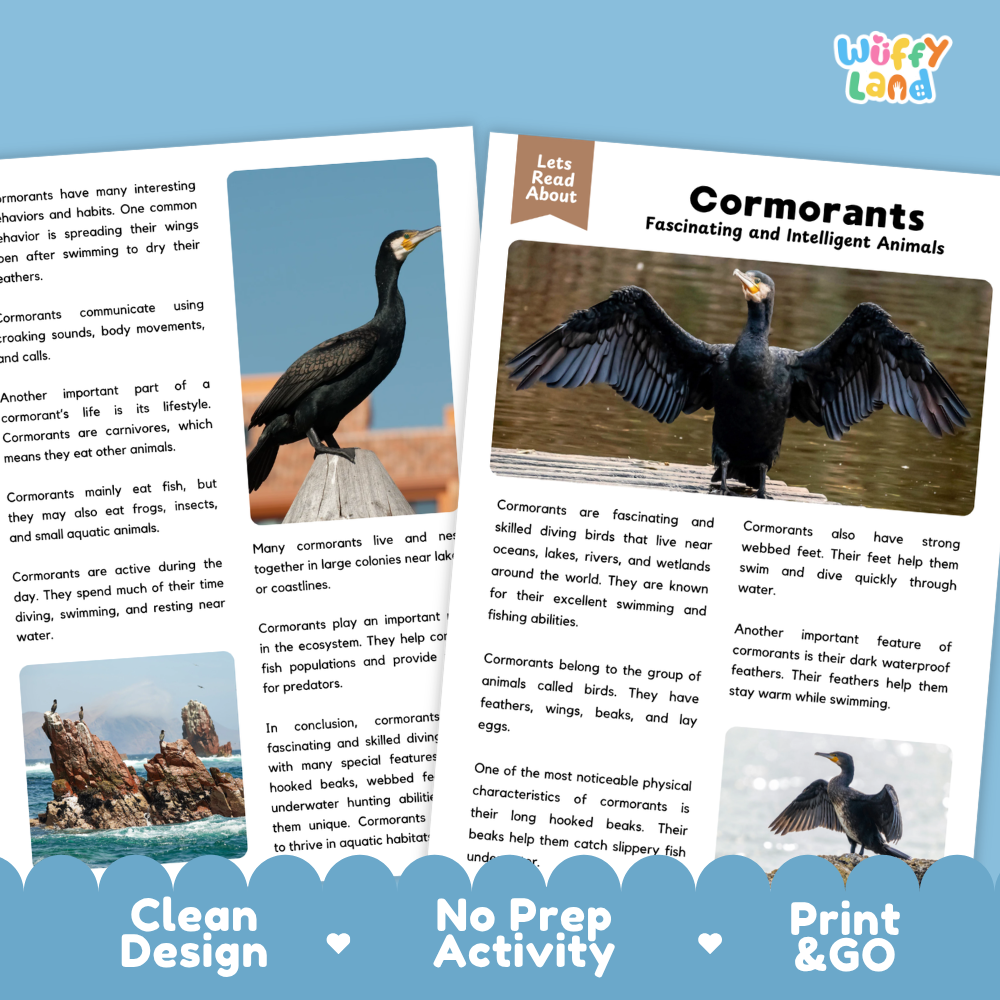 Cormorant Reading Passage and Comprehension Questions Worksheets
