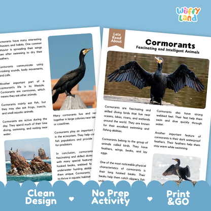 Cormorant Reading Passage and Comprehension Questions Worksheets