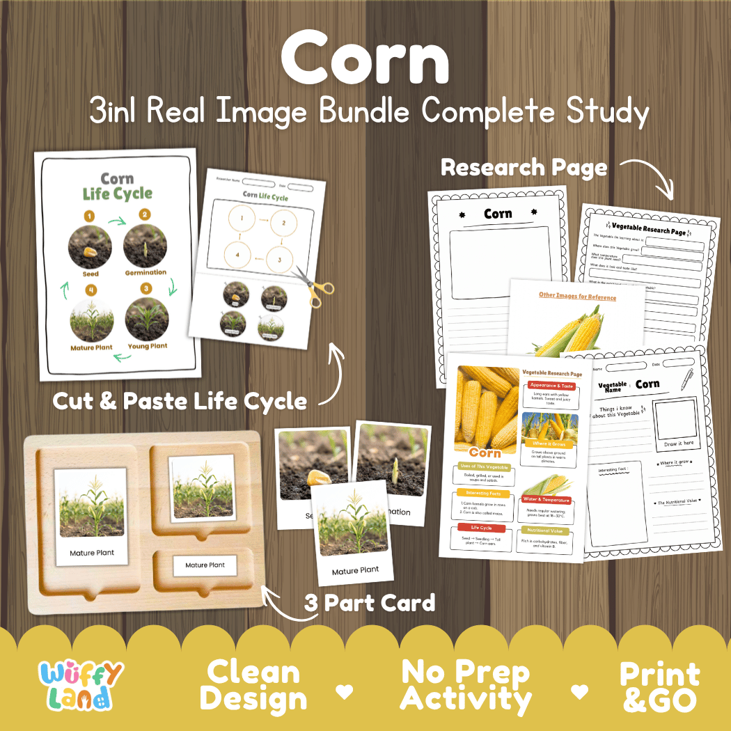 Complete Corn 3-in-1 real image study bundle featuring cut and paste worksheets, Montessori 3-part cards, and research pages 🌽🌱