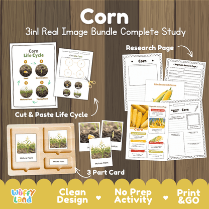 Complete Corn 3-in-1 real image study bundle featuring cut and paste worksheets, Montessori 3-part cards, and research pages 🌽🌱