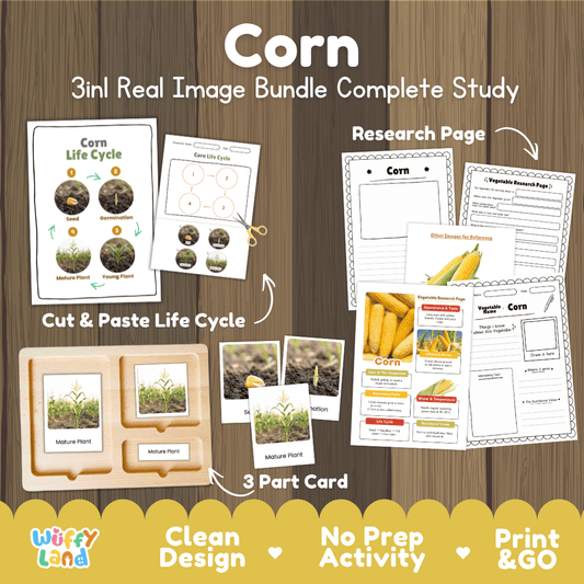 Complete Corn 3-in-1 real image study bundle featuring cut and paste worksheets, Montessori 3-part cards, and research pages 🌽🌱