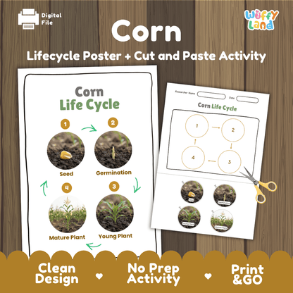 Corn Life Cycle Poster and Cut and Paste Activity Worksheets