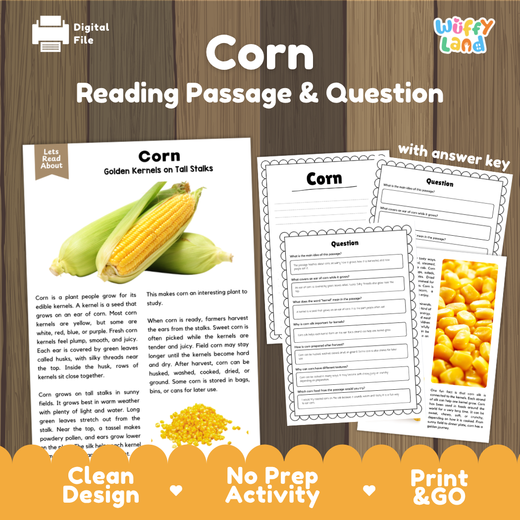 Corn Reading Passage and Comprehension Questions Worksheets with Answer Key