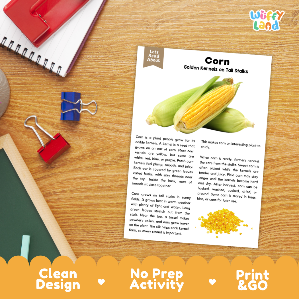 Corn Reading Passage and Comprehension Questions Worksheets with Answer Key