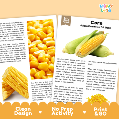 Corn Reading Passage and Comprehension Questions Worksheets with Answer Key