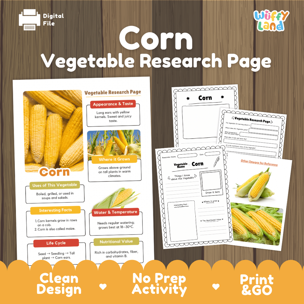 Corn Vegetable Research Page Worksheets
