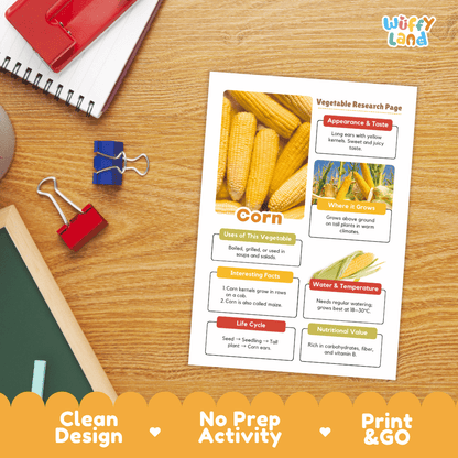 Corn Vegetable Research Page Worksheets