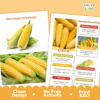 Corn Vegetable Research Page Worksheets