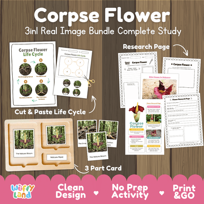 Corpse flower plant 3in1 real image bundle complete study printable featuring life cycle cut and paste worksheets, Montessori 3-part cards, and research pages