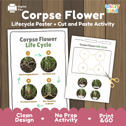 Corpse Flower Life Cycle Poster and Cut and Paste Activity Worksheet