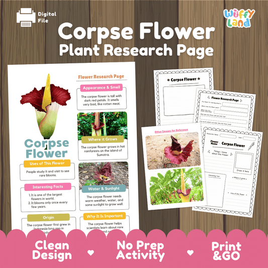Student flower research page writing worksheets with real blooming titan arum corpse flower in Sumatra rainforest photos, lined note-taking prompts, and drawing frames