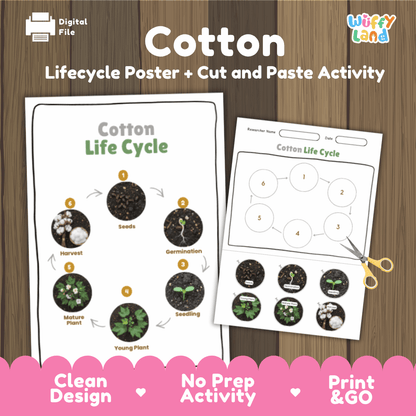 Cotton Lifecycle Poster and Cut and Paste Activity Worksheets | Plant Science Printables