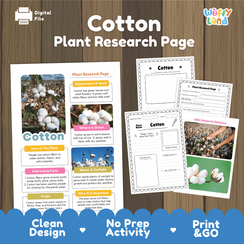 Cotton Plant Research Page Worksheets and Information Poster