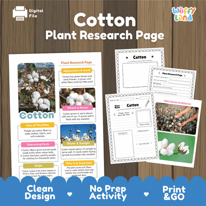 Cotton Plant Research Page Worksheets and Information Poster
