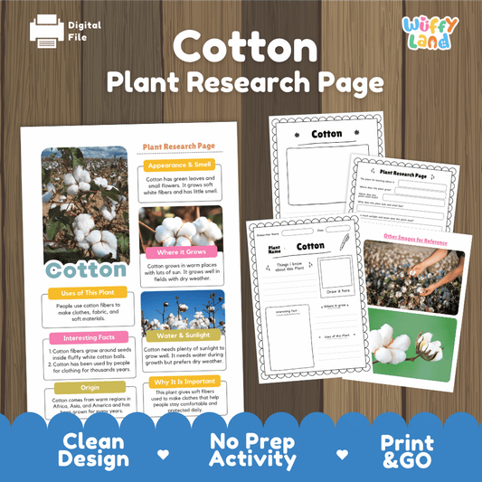 Cotton Plant Research Page Worksheets and Information Poster