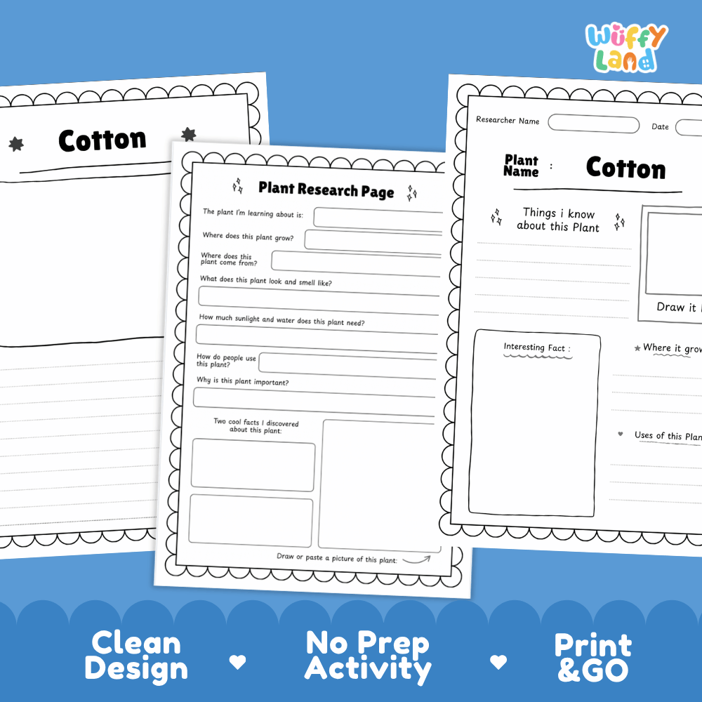 Cotton Plant Research Page Worksheets and Information Poster