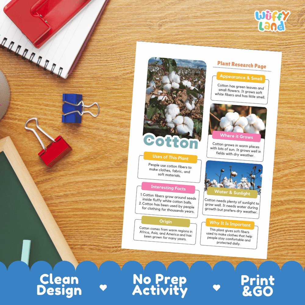 Cotton Plant Research Page Worksheets and Information Poster