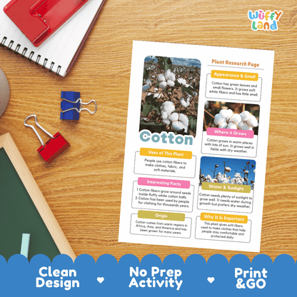 Cotton Plant Research Page Worksheets and Information Poster