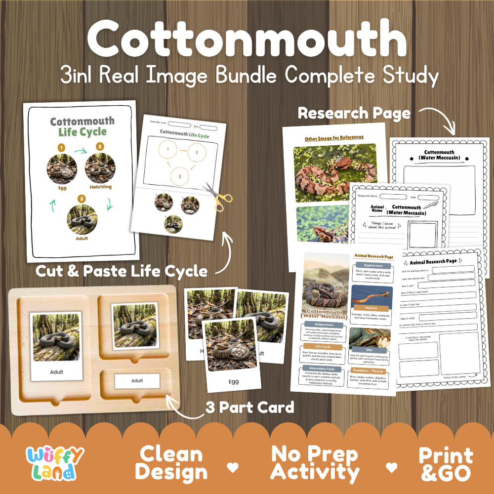 Cottonmouth 3-in-1 real image bundle complete study cover showing cut and paste life cycle, 3 part cards, and research pages