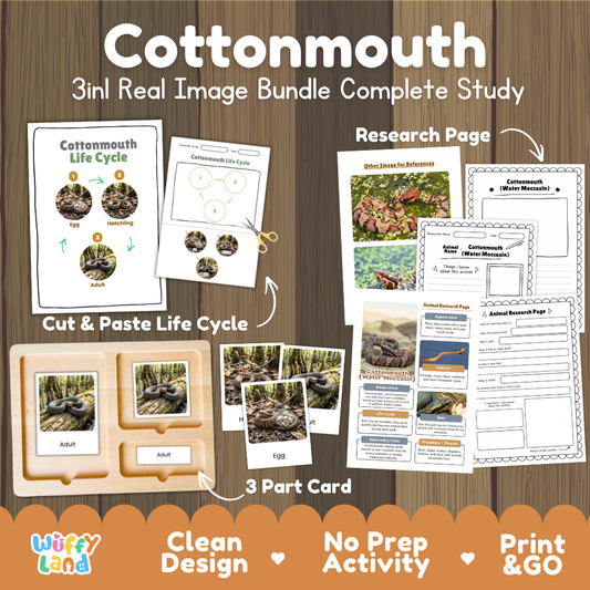 Cottonmouth 3-in-1 real image bundle complete study cover showing cut and paste life cycle, 3 part cards, and research pages