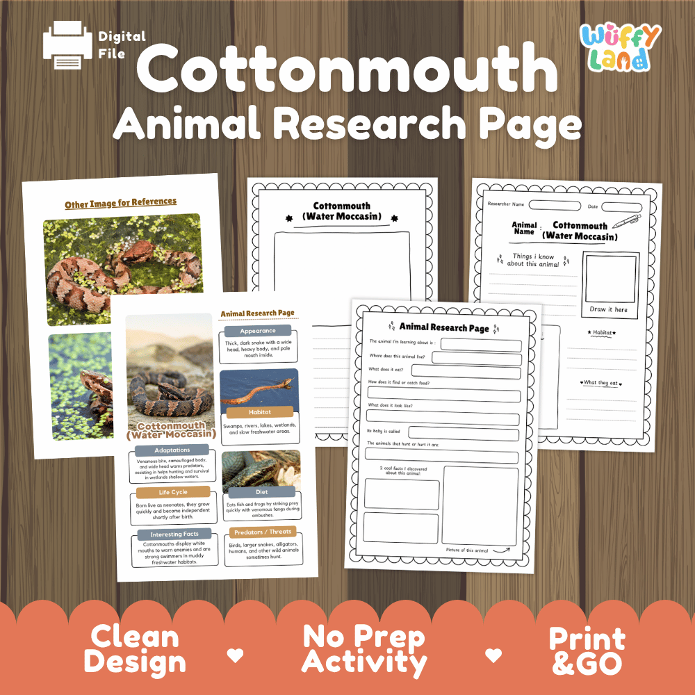 Cottonmouth Animal Research Page and Worksheets