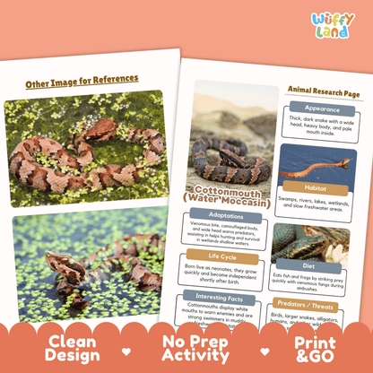 Cottonmouth Animal Research Page and Worksheets