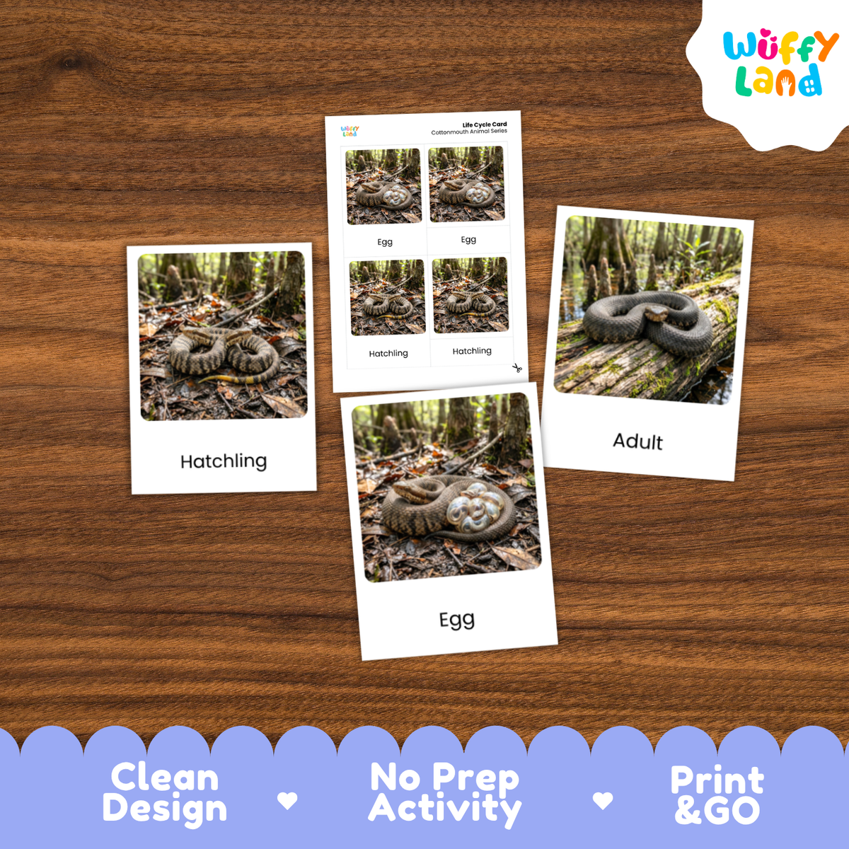 Three educational activity cards about snakes arranged on a wooden tabletop, with a Wuffy Land logo in the top right and a blue promotional banner at the bottom highlighting clean design, no prep activity, and print & go use.