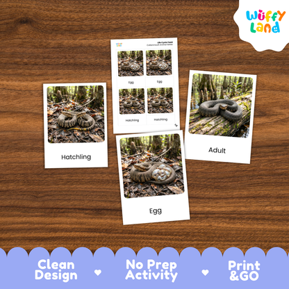 Three educational activity cards about snakes arranged on a wooden tabletop, with a Wuffy Land logo in the top right and a blue promotional banner at the bottom highlighting clean design, no prep activity, and print & go use.