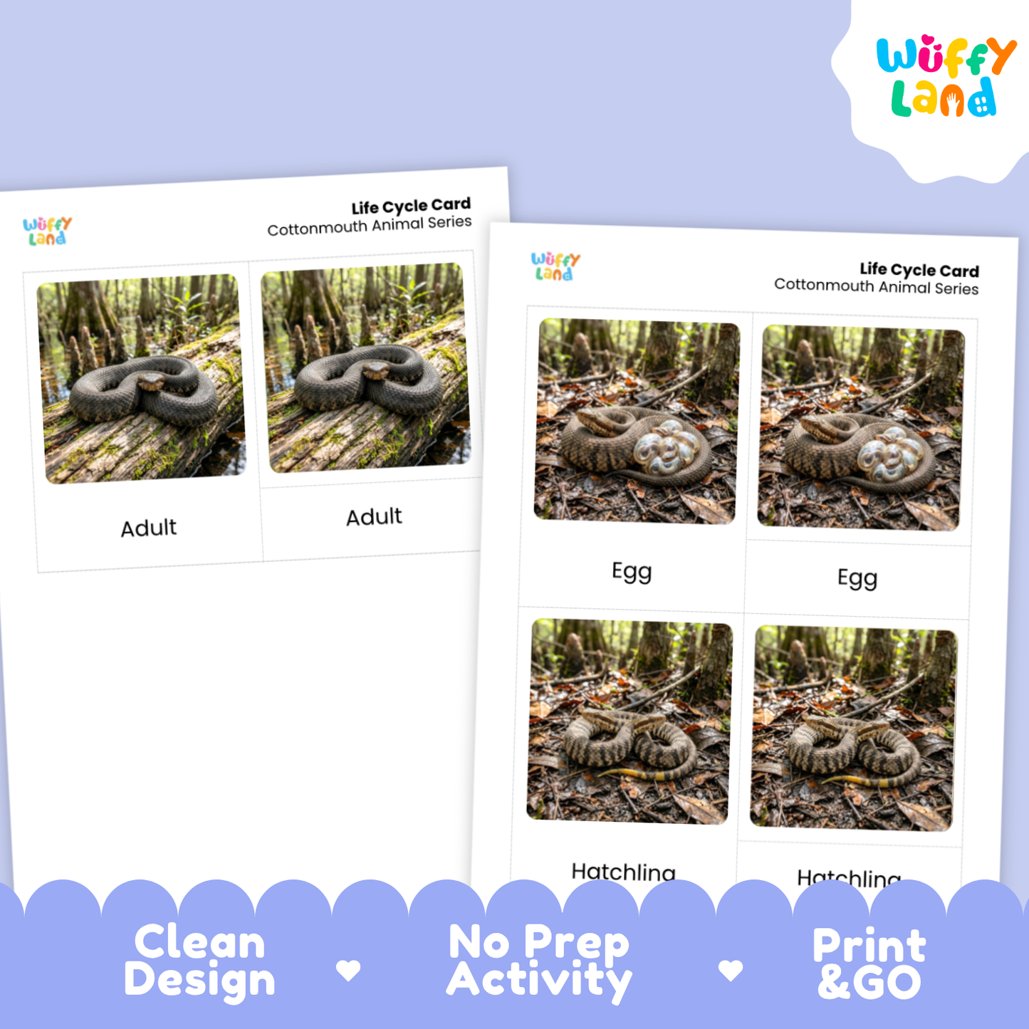 Cottonmouth Life Cycle Flashcards | 3 Part Cards Montessori Science Activity