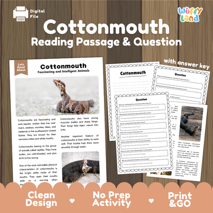 Digital reading activity product cover for 'Cottonmouth Reading Passage & Question' by Wiffly Land, shown on a wood background with sample pages including the passage, worksheet, and question card.
