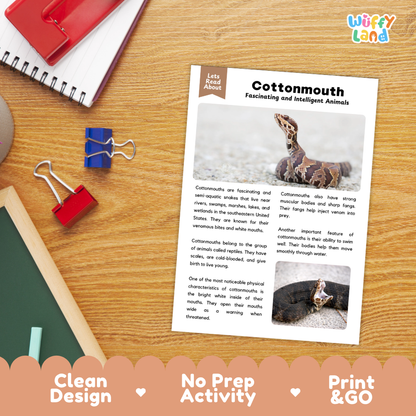 Cottonmouth Reading Passage and Questions | Snake Science Worksheets with Answer Key