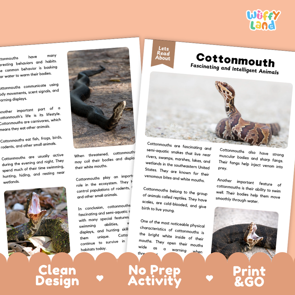 Two educational activity sheets from 'Wiffly Land' titled 'Cottonmouth Fascinating and Intelligent Animals', featuring text about cottonmouth facts and images of cottonmouths. The sheets are shown overlapping on a white background with a peach-colored banner at the bottom containing the text 'Clean Design', 'No Prep Activity', and 'Print & GO'.