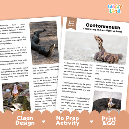 Two educational activity sheets from 'Wiffly Land' titled 'Cottonmouth Fascinating and Intelligent Animals', featuring text about cottonmouth facts and images of cottonmouths. The sheets are shown overlapping on a white background with a peach-colored banner at the bottom containing the text 'Clean Design', 'No Prep Activity', and 'Print & GO'.