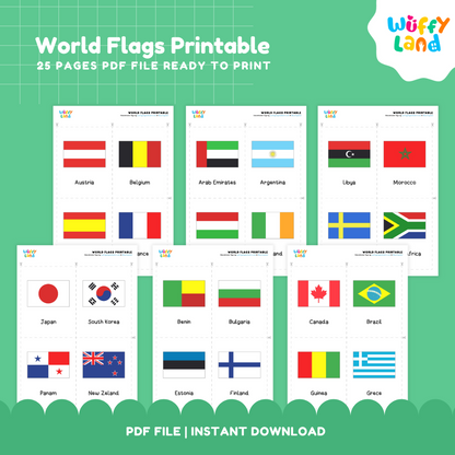 Country flags matching cards for kids featuring flags from around the world for geography, recognition and memory practice
