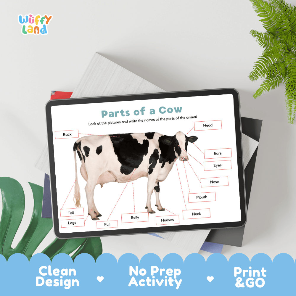 Educational cut and paste cow anatomy worksheet with printable word cutout tiles for head, ears, hooves, fur, and tail