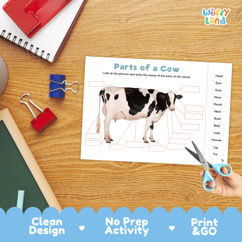 Printable farm animal anatomy worksheet showing a realistic dairy cow with blank labeling boxes and a vocabulary word bank for writing practice