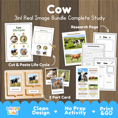 Cow 3-in-1 real image bundle complete study cover showing cut and paste life cycle, 3 part cards, and research pages