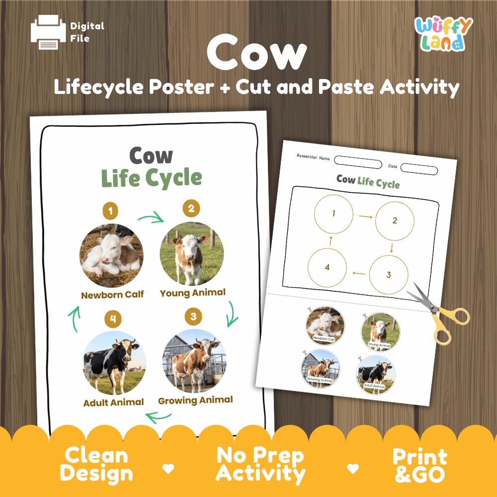 Cow Life Cycle Poster and Cut and Paste Activity Worksheets