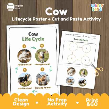 Cow Life Cycle Poster and Cut and Paste Activity Worksheets