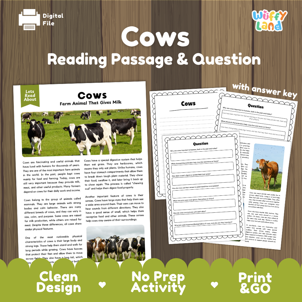 Cows Reading Passage and Comprehension Questions Worksheets
