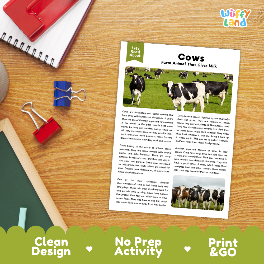 Cows Reading Passage and Comprehension Questions Worksheets