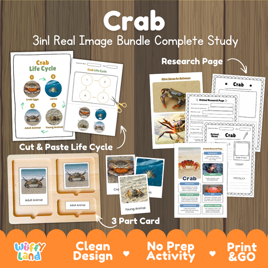 Crab 3-in-1 real image bundle complete study cover showing cut and paste life cycle, 3 part cards, and research pages