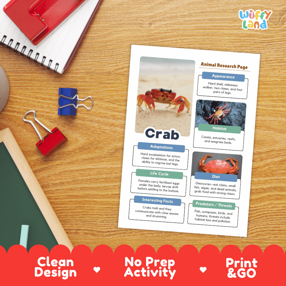 A printed animal research page about a crab is laid on a wooden desk, surrounded by school supplies including a spiral notebook, binder clips, and a red folder. The page has colorful labeled sections and photos of a crab.
