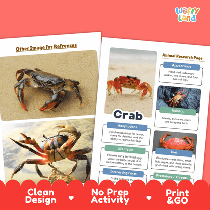 Two educational activity sheets from Wiffly Land about crabs, displayed on a coral-red background with a red banner at the bottom. The left sheet shows two crabs labeled 'Other Image for References,' and the right sheet is an 'Animal Research Page' with text sections on appearance, habitat, adaptations, life cycle, diet, and interesting facts, each paired with a crab photo.