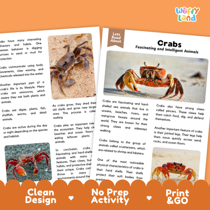 Crab Reading Passage and Comprehension Questions Worksheets