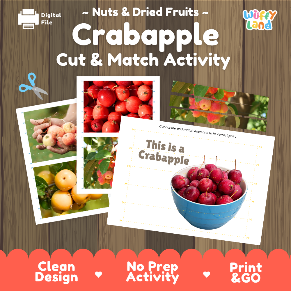 Crabapple cut and match activity cover showing printable fine motor puzzle sheets and fruit photographs