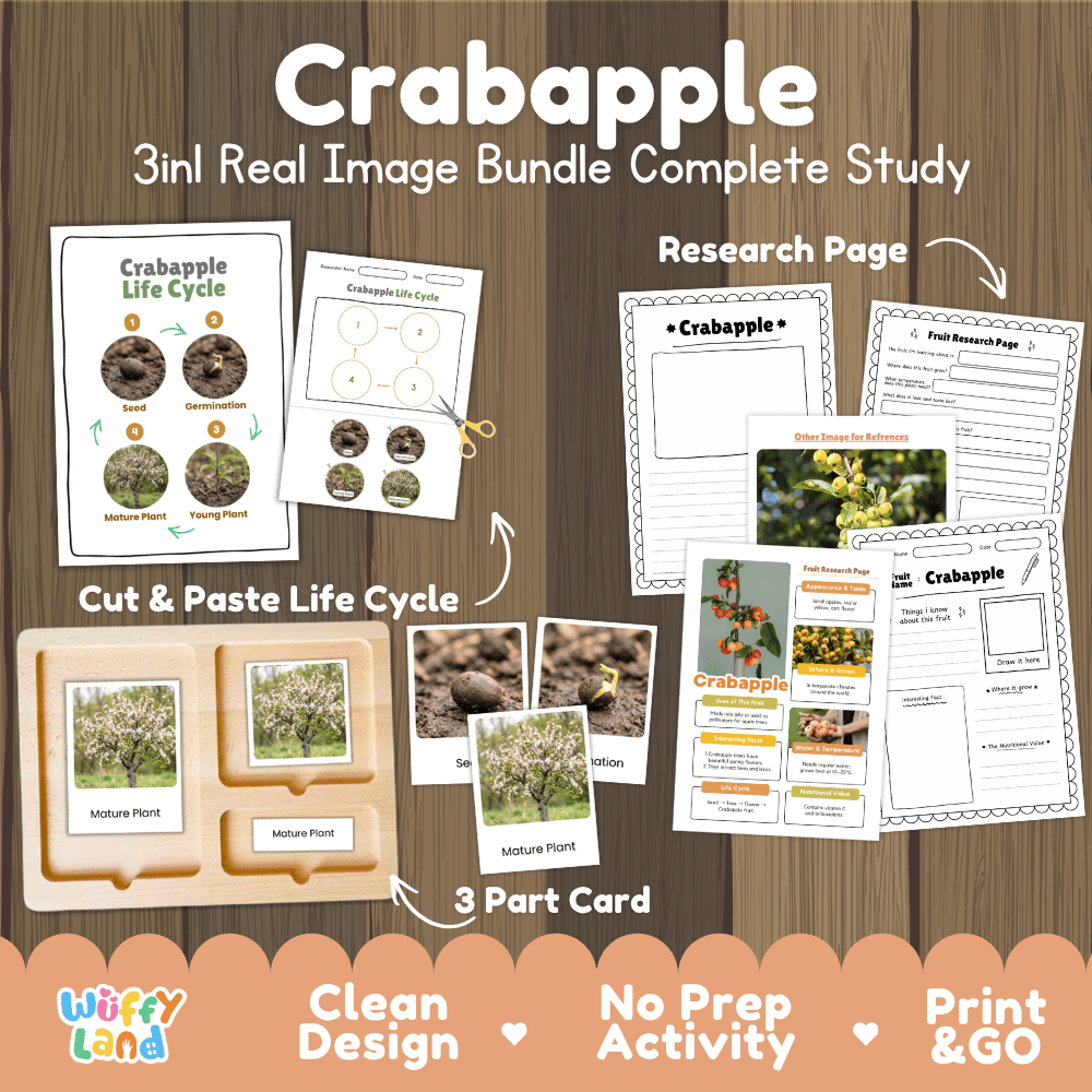 Crabapple tree life cycle 3in1 real image bundle complete study overview featuring cut and paste worksheets, Montessori 3-part cards, and research pages from Wuffy Land 🍎🌱