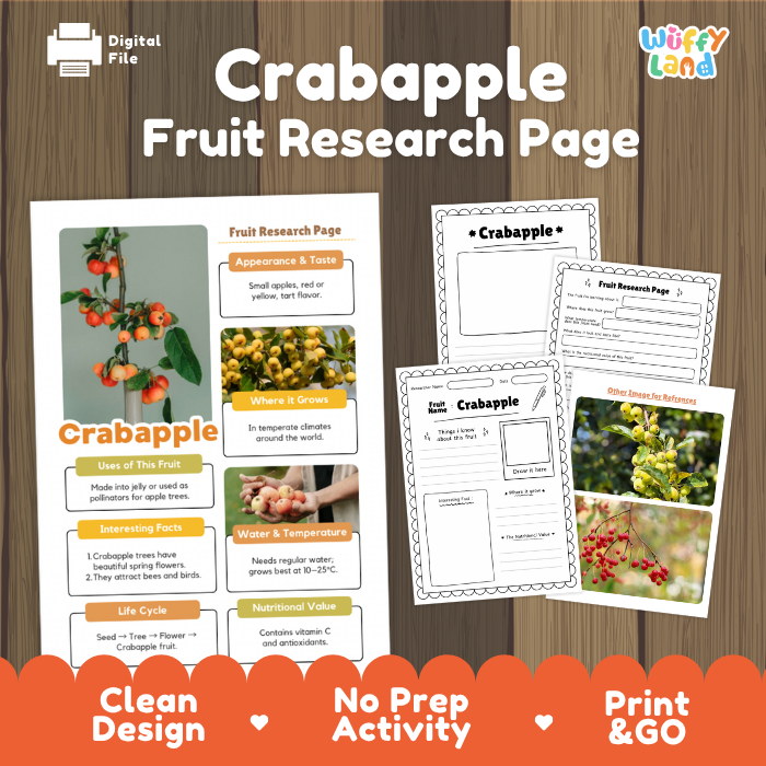 Crabapple Fruit Research Page Worksheets and Fact Sheet