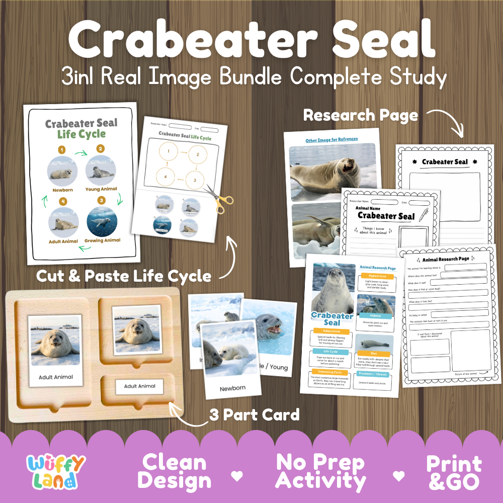 Crabeater seal 3-in-1 real image bundle complete study cover showing cut and paste life cycle, 3 part cards, and research pages