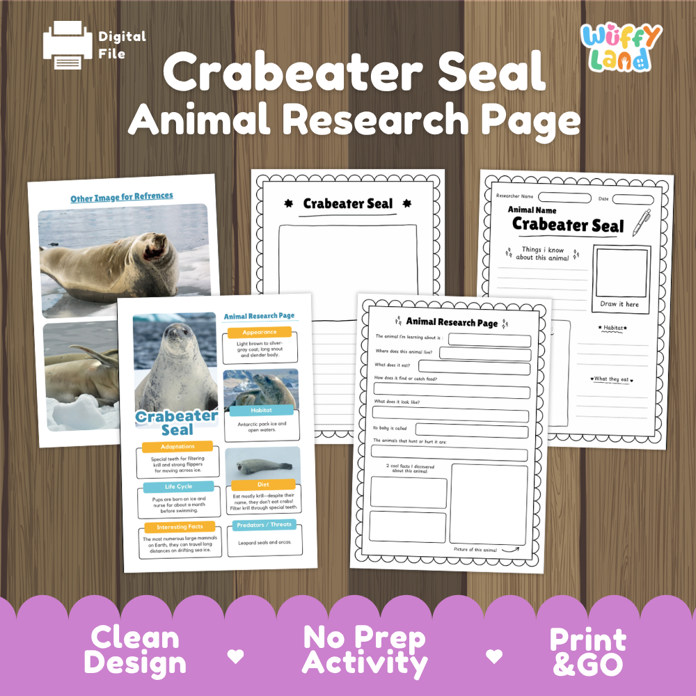 Crabeater Seal Animal Research Page Worksheets